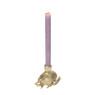 Kandelaar kever - diverse varianten - 9 cm 