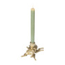 Kandelaar kever - diverse varianten - 9 cm 
