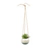 Hangpot keramisch - wit/groen - ø10.8x9.2 cm 