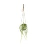 Hangpot keramisch - wit/groen - ø10.8x9.2 cm 