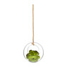 Bolvaas hangend aan touw - 20 cm 