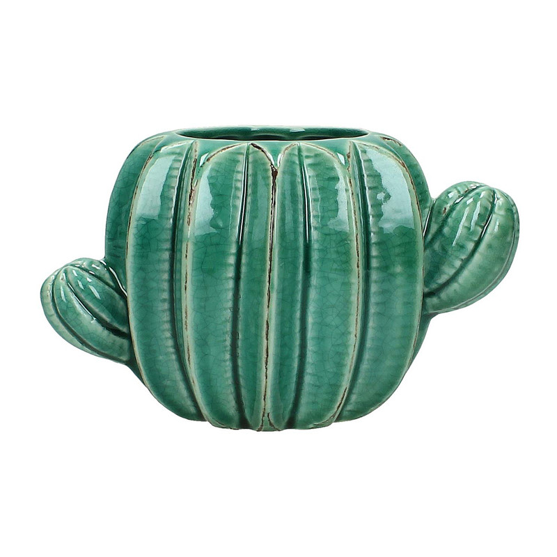 Vaas cactus - petrol - 12 cm
