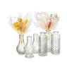 Flesvaasje Alanis - glas - diverse varianten