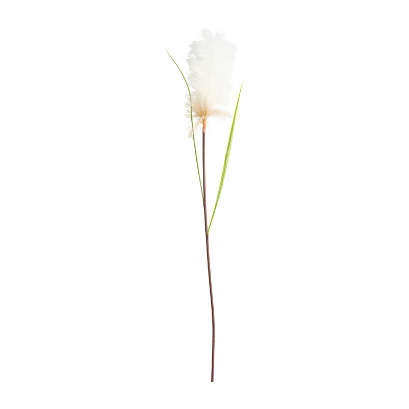 Pluimen gekleurd - diverse varianten - 95 cm