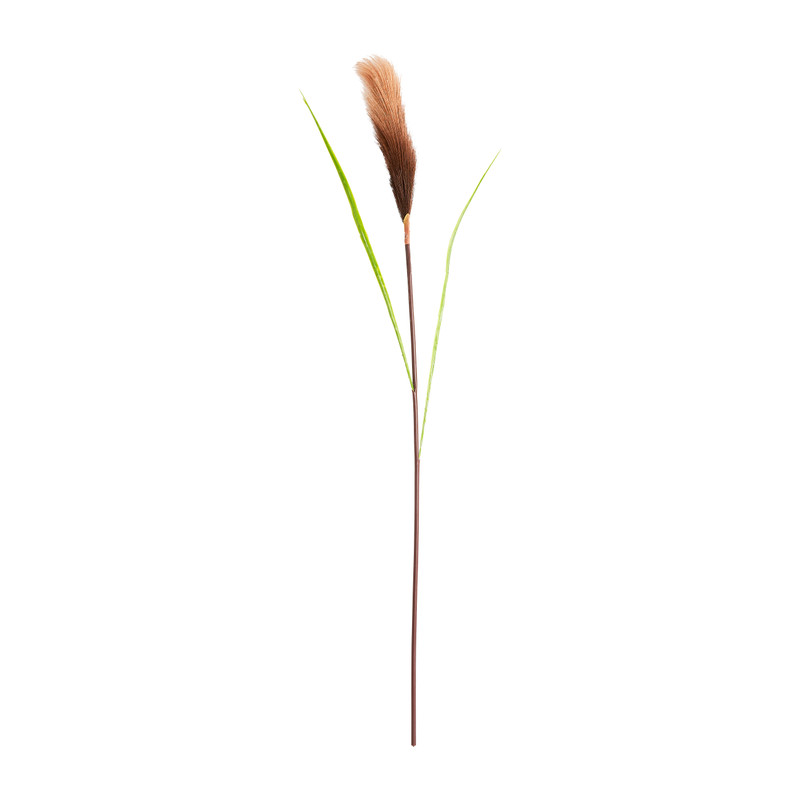 Pluimen gekleurd - diverse varianten - 95 cm