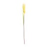 Pluimen gekleurd - diverse varianten - 95 cm