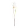Pluimen gekleurd - diverse varianten - 95 cm