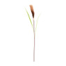 Pluimen gekleurd - diverse varianten - 95 cm