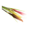 Pluimen gekleurd - diverse varianten - 95 cm