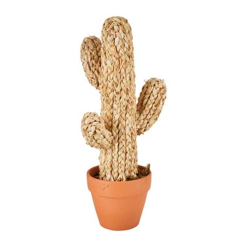 Cactus in pot - beige - 50 cm