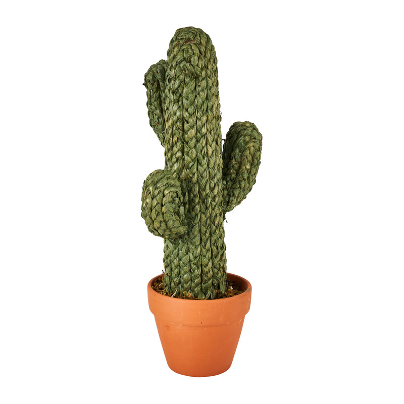 Cactus in pot - groen - 50 cm 