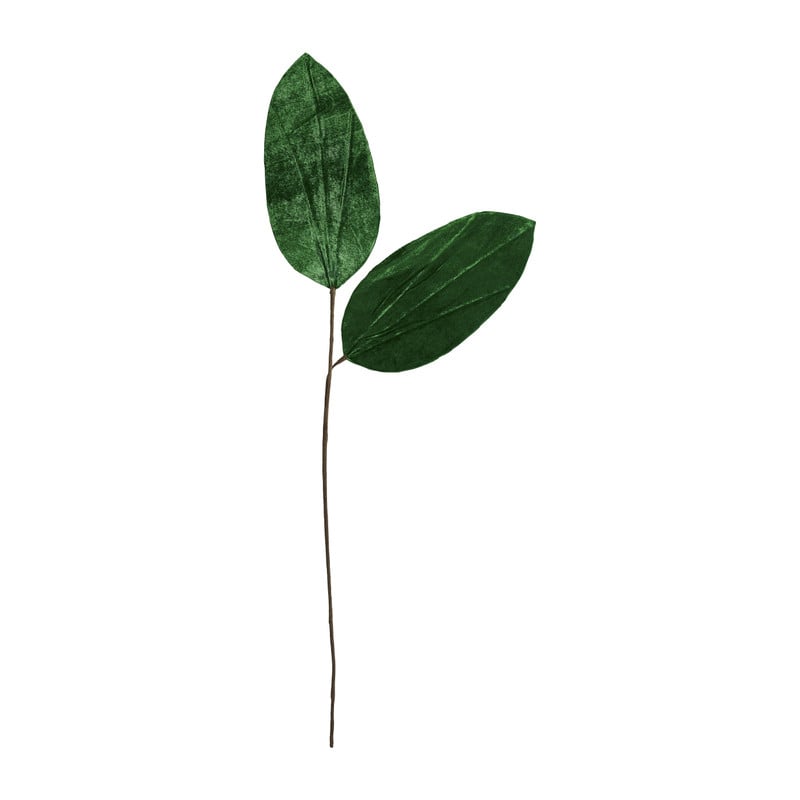 Velvet bladeren - groen