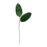 Velvet bladeren - groen