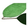 Velvet bladeren - groen