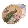 Cadeaudoos rond - pauw - set van 3