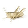 Decoratie beeld sprinkhaan - goud - 11 cm