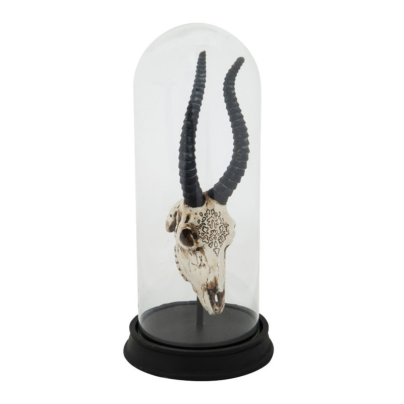 Stolp met dierenschedel - 33 cm hoog