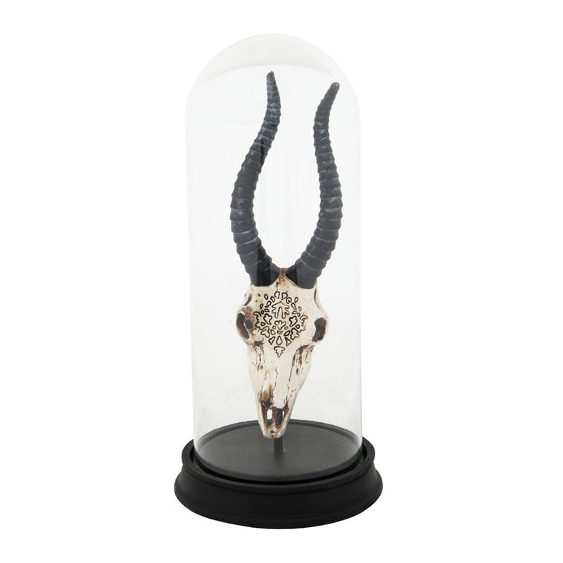 Stolp met dierenschedel - 33 cm hoog