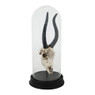 Stolp met dierenschedel - 33 cm hoog