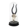 Stolp met dierenschedel - 33 cm hoog