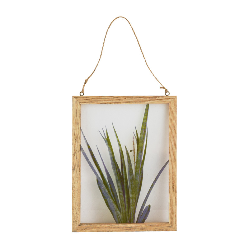 Schilderij plant - 15x21 cm