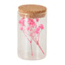 Droogbloem in glas - 8.5x5x5 cm - diverse varianten