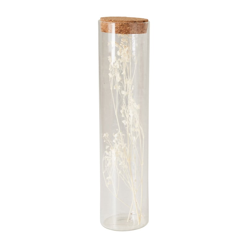 Droogbloem in glas - 19x4.5x4.5 cm - diverse varianten