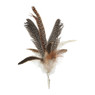 Veren op clip - naturel - diverse varianten