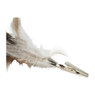 Veren op clip - naturel - diverse varianten