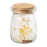 Potjes met droogbloemen - diverse varianten - ⌀6X7 cm