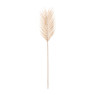 Palm blad - diverse varianten - 86 cm