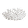 Schaaltje koraal - 3.5x17x16 cm