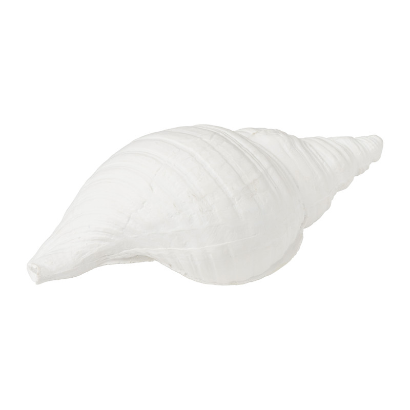 Deco schelp - 9.7x24.5x11.3 cm