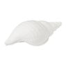 Deco schelp - 9.7x24.5x11.3 cm