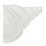 Deco schelp - 9.7x24.5x11.3 cm