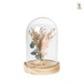 Stolp droogbloem lagurus - naturel - diverse varianten