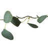 Kerst lichtslinger met eucalyptus - groen - 2 meter