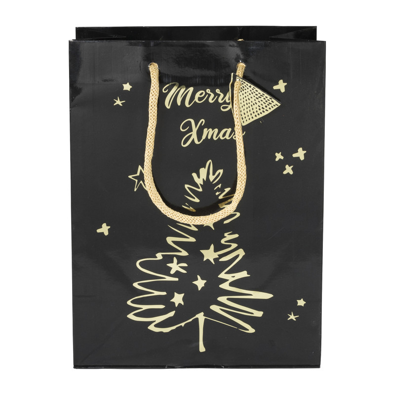 Cadeautas M - diverse varianten - 22.9x17.5x9.8 cm