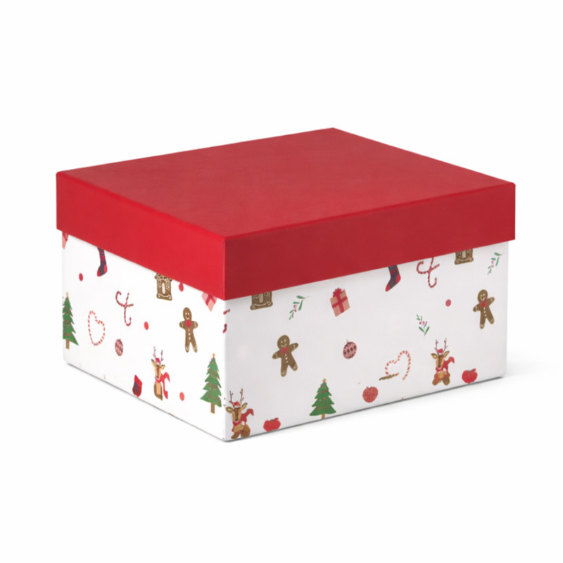 Kerst cadeau doos groot - multikleur - 9.5x21.5x16 cm