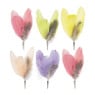 Veer op clip gekleurd - set van 6 - 14 cm