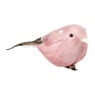 Vogel op clip gekleurd - diverse kleuren - 15x7x6 cm