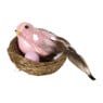 Vogelnestje - diverse varianten - ø7x5 cm
