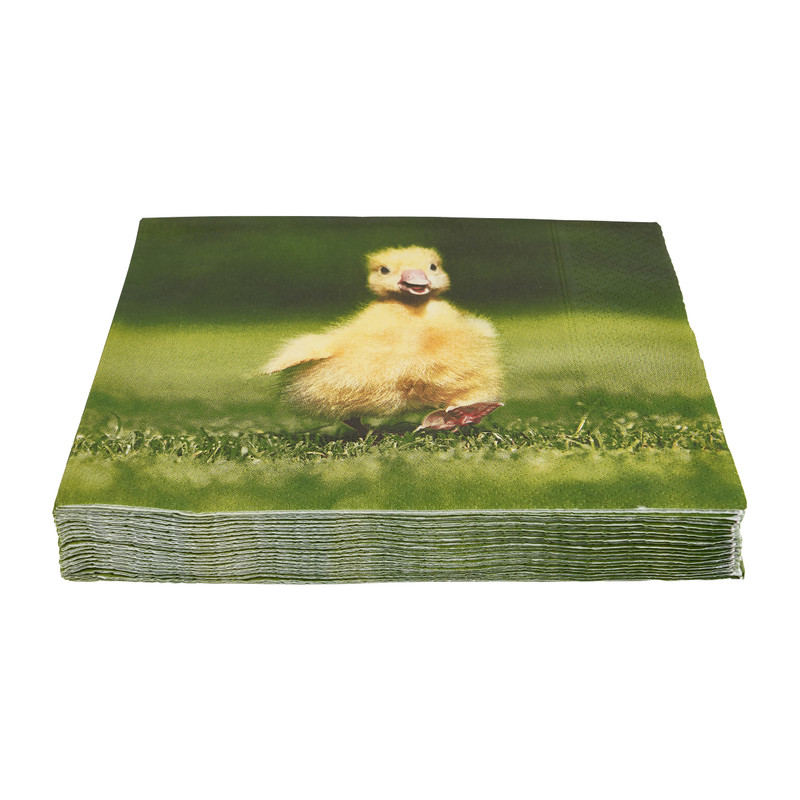 Servetten eendje in het gras - 16.5x16.5 cm - set van 20