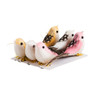 Vogels - 6 stuks