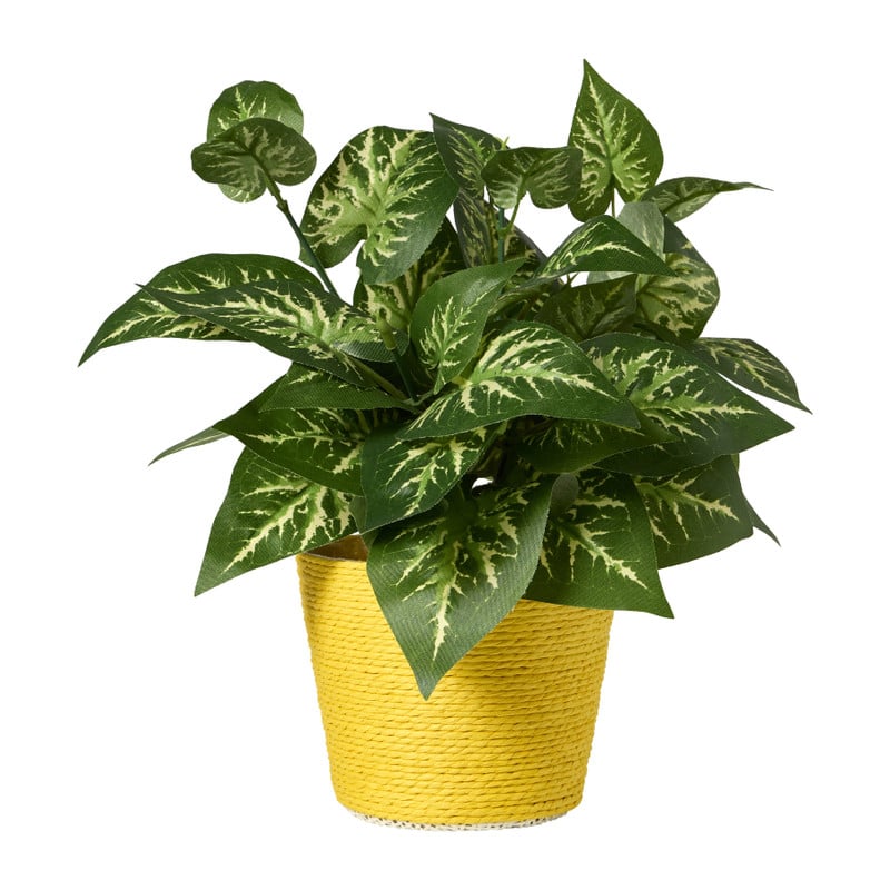 Bloempot mand klein - diverse varianten - ø12x9 cm