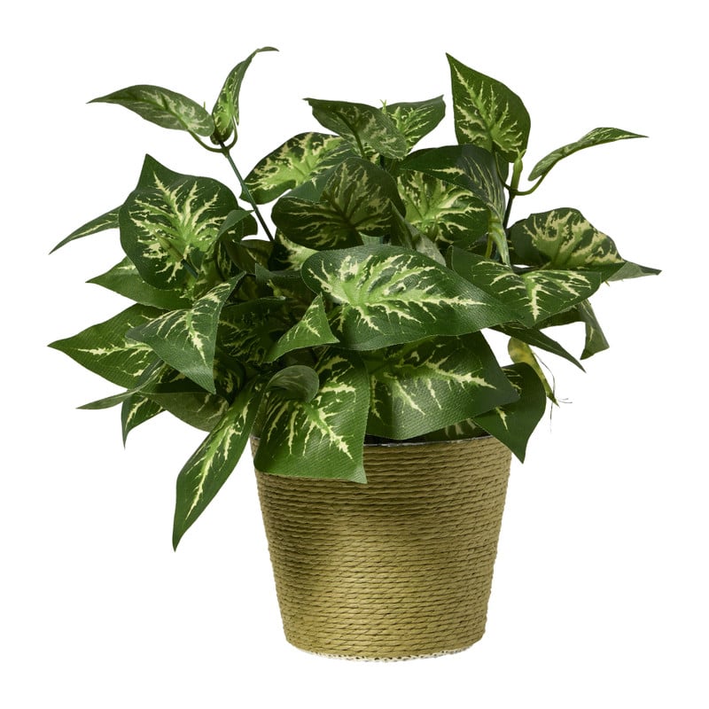 Bloempot mand klein - diverse varianten - ø12x9 cm