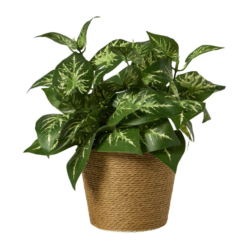 Bloempot mand groot - diverse varianten - ø13.5x11 cm