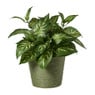 Bloempot mand groot - diverse varianten - ø13.5x11 cm