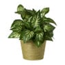 Bloempot mand groot - diverse varianten - ø13.5x11 cm