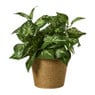 Bloempot mand groot - diverse varianten - ø13.5x11 cm